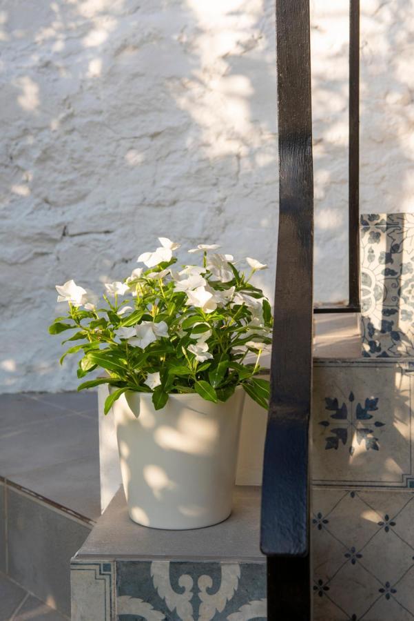 Stunning Home Benamahoma 4 Bed - Sierra Grazalema 外观 照片