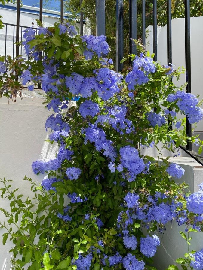 Stunning Home Benamahoma 4 Bed - Sierra Grazalema 外观 照片